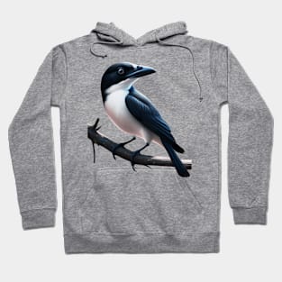 Butcherbird Sitting on a Branch Hoodie